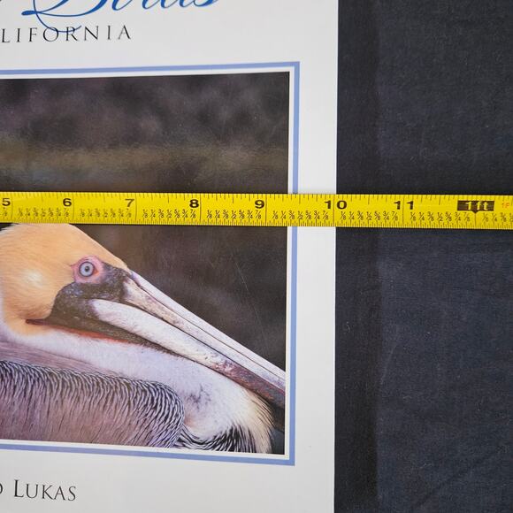 Wild Birds of California By David Luca Paperback - Picture 7 of 8